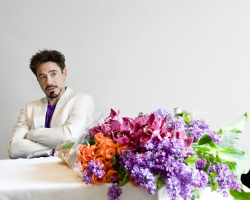 Robert Downey Jr. - "The Soloist" press conference portraits by Armando Gallo (Beverly Hills, April 3, 2009) - 19xHQ Qp2ziHUB